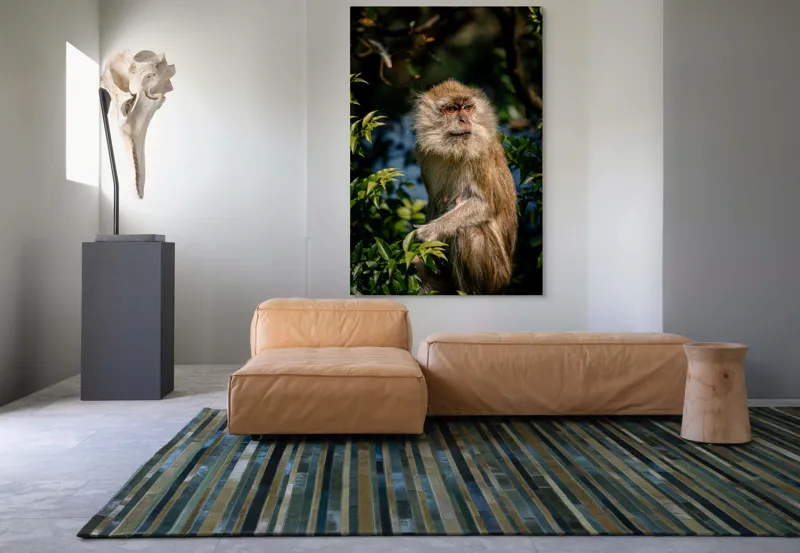Tablou Canvas, "Maimuța contemplativă în natură vibrantă", Nu pot spune ce animal este aici., 100 x 150 cm – poza 7