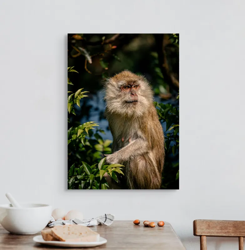 Tablou Canvas, "Maimuța contemplativă în natură vibrantă", Nu pot spune ce animal este aici., 50 x 70 cm – poza 3