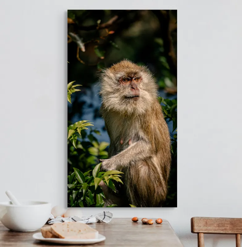 Tablou Canvas, "Maimuța contemplativă în natură vibrantă", 50 x 90 cm – poza 3
