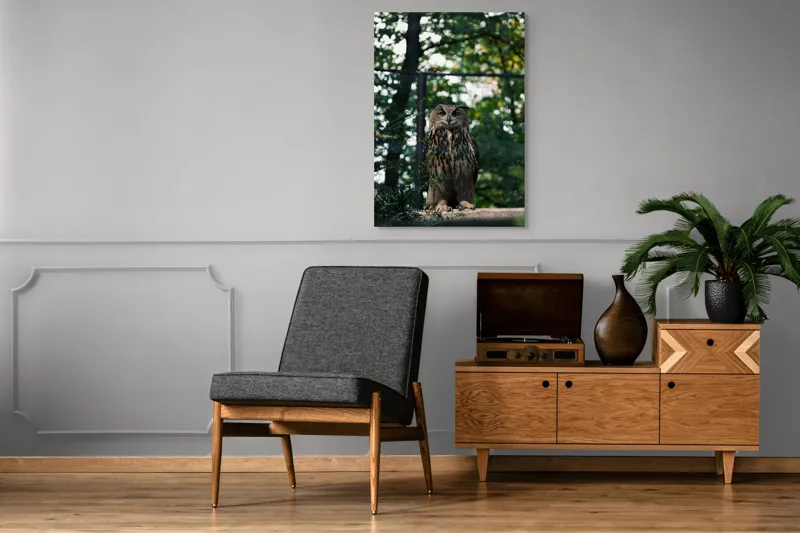 Tablou Canvas, "Bufnița în pădurea deasă", Bufniță, Pene, Copaci, Verdeață, Privire, Ramuri, Natură, Pădure, Stare de Alertă., 70 x 100 cm – poza 6