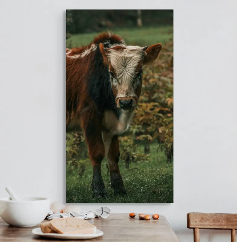 Tablou Canvas, "Vitel curios pe câmp verde", I don't know who this is., 50 x 90 cm – poza 3