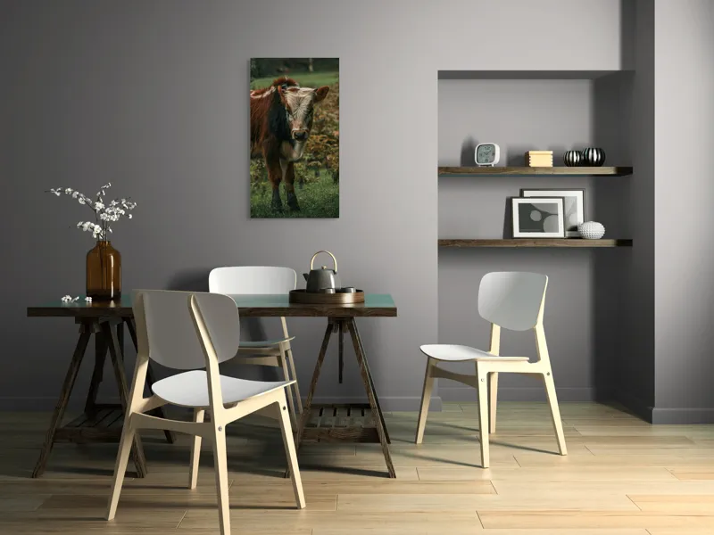 Tablou Canvas, "Vitel curios pe câmp verde", I don't know who this is., 50 x 90 cm – poza 4