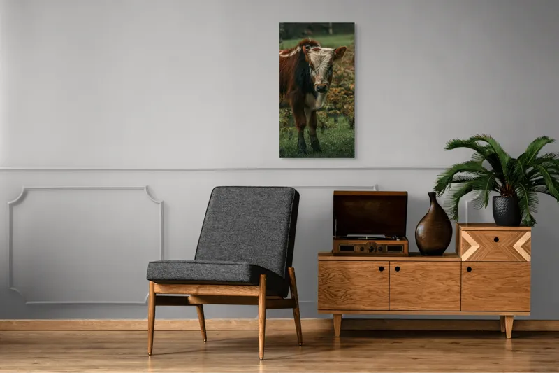 Tablou Canvas, "Vitel curios pe câmp verde", I don't know who this is., 50 x 90 cm – poza 8