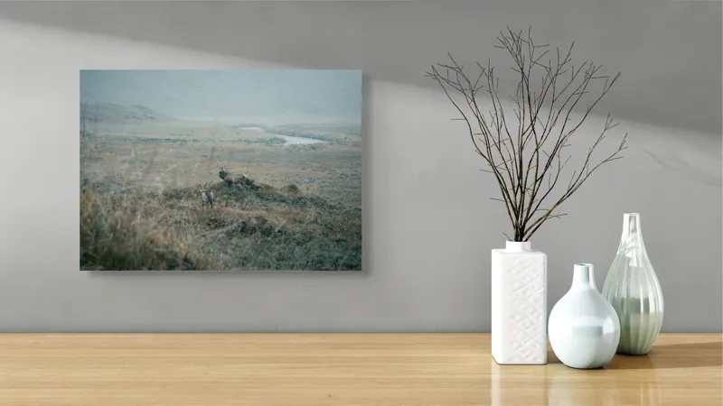 Tablou Canvas, "Cerbi în peisajul aspru de toamnă", Cerb, Pajiște, Peisaj, Câmpie, Râu, Natură, Sălbatic, Noros, Tihnă, 54 x 39 cm – poza 3