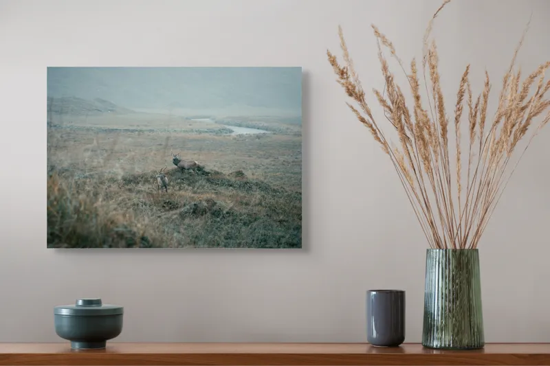 Tablou Canvas, "Cerbi în peisajul aspru de toamnă", Cerb, Pajiște, Peisaj, Câmpie, Râu, Natură, Sălbatic, Noros, Tihnă, 54 x 39 cm – poza 4