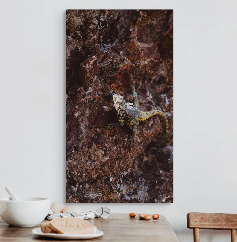 Tablou Canvas, "Șopârlă camuflată pe stâncă roșiatică", Stâncă, Șopârlă, Culoare, Nisip, Textură, Natură, Solzi, Cămuflaj, Detaliu, Sălbăticie, 50 x 90 cm – poza 3