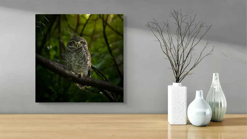 Tablou Canvas, "Bufnița vigilentă păzind pădurea tăcută", Bufniță, Privire, Noapte, Ramură, Mister, Pădure, Frunziș, Natură, Ochi, Natura, Solitudine, Tăcere, Nocturn, Sălbatic, Întuneric, 50 x 50 cm – poza 3