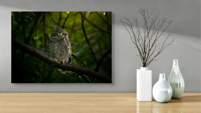 Tablou Canvas, "Bufnița vigilentă păzind pădurea tăcută", Bufniță, Privire, Noapte, Ramură, Mister, Pădure, Frunziș, Natură, Ochi, Natura, Solitudine, Tăcere, Nocturn, Sălbatic, Întuneric, 70 x 50 cm – poza 3