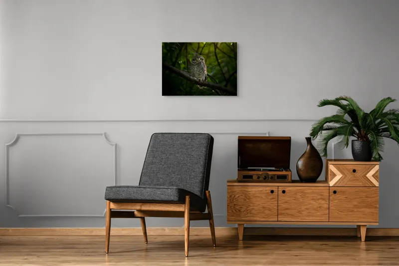 Tablou Canvas, "Bufnița vigilentă păzind pădurea tăcută", Bufniță, Privire, Noapte, Ramură, Mister, Pădure, Frunziș, Natură, Ochi, Natura, Solitudine, Tăcere, Nocturn, Sălbatic, Întuneric, 70 x 50 cm – poza 4