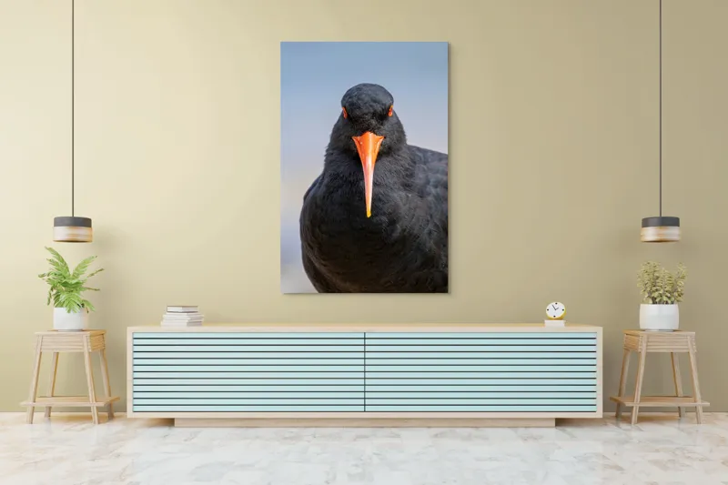 Tablou Canvas, "Pasărea cu privire intensă", Pasăre, Negru, Cioc, Portocaliu, Intens, Privire, Penaj, Contrast, Strălucire, Ochi, 100 x 150 cm – poza 4