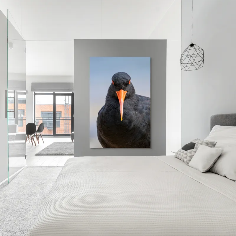 Tablou Canvas, "Pasărea cu privire intensă", Pasăre, Negru, Cioc, Portocaliu, Intens, Privire, Penaj, Contrast, Strălucire, Ochi, 100 x 150 cm – poza 5