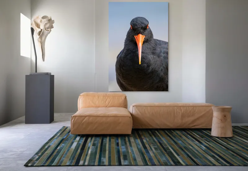 Tablou Canvas, "Pasărea cu privire intensă", Pasăre, Negru, Cioc, Portocaliu, Intens, Privire, Penaj, Contrast, Strălucire, Ochi, 100 x 150 cm – poza 7