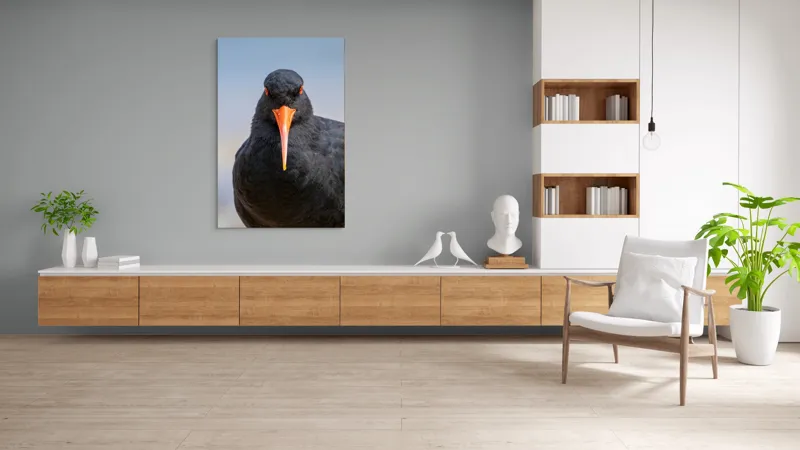 Tablou Canvas, "Pasărea cu privire intensă", Pasăre, Negru, Cioc, Portocaliu, Intens, Privire, Penaj, Contrast, Strălucire, Ochi, 100 x 150 cm – poza 8