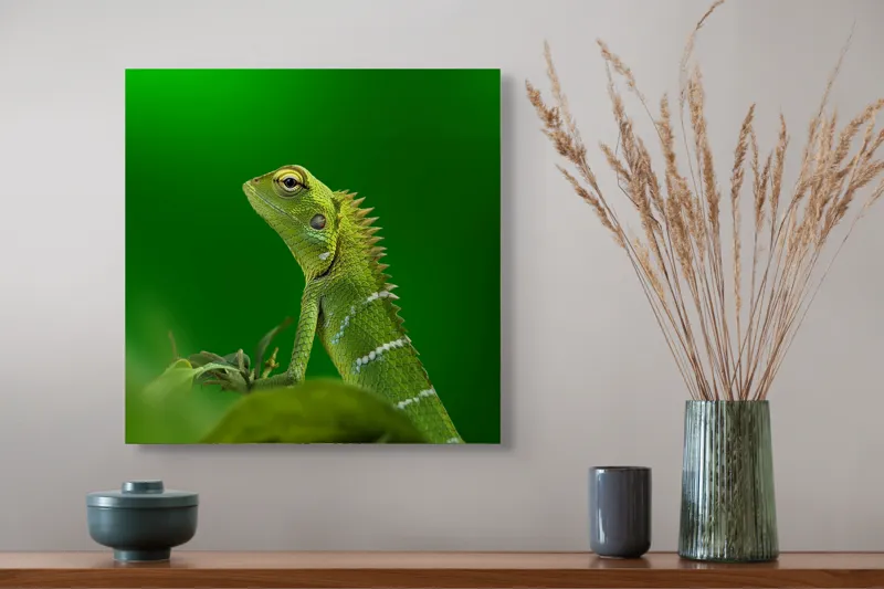 Tablou Canvas, "Şopârla verde în lumea liniştii", Verde, Şopârlă, Elegant, Spini, Fundal, Natură, Contrast, Frunză, 50 x 50 cm – poza 4