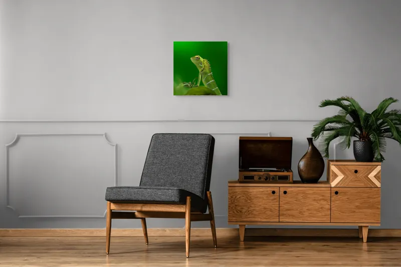 Tablou Canvas, "Şopârla verde în lumea liniştii", Verde, Şopârlă, Elegant, Spini, Fundal, Natură, Contrast, Frunză, 50 x 50 cm – poza 6
