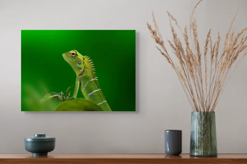 Tablou Canvas, "Şopârla verde în lumea liniştii", Verde, Şopârlă, Elegant, Spini, Fundal, Natură, Contrast, Frunză, 54 x 39 cm – poza 4