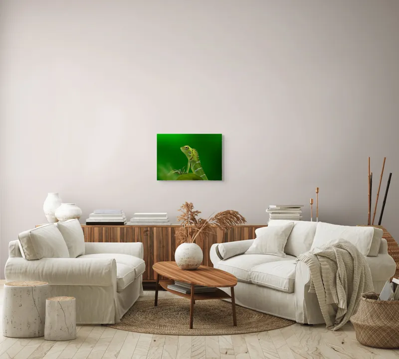 Tablou Canvas, "Şopârla verde în lumea liniştii", Verde, Şopârlă, Elegant, Spini, Fundal, Natură, Contrast, Frunză, 54 x 39 cm – poza 5