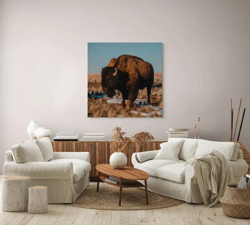 Tablou Canvas, "Taurul singuratic pe câmpia înghețată", I don't know who this is., 100 x 100 cm – poza 3