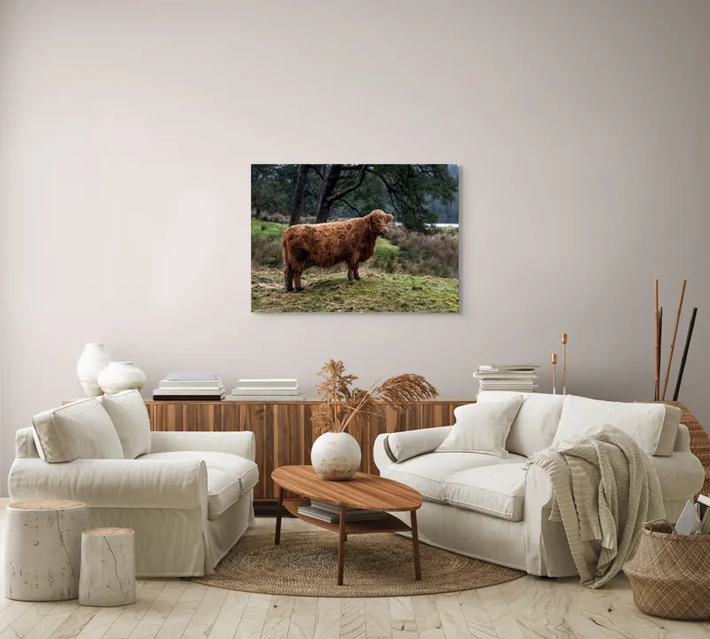 Tablou Canvas, "Bivol scoțian în peisaj rural", Vacă, Pădure, Natură, Peisaj, Verde, Blană, Relaxare, Calm, Meditație, Rustic., 100 x 70 cm – poza 3