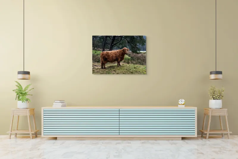 Tablou Canvas, "Bivol scoțian în peisaj rural", Vacă, Pădure, Natură, Peisaj, Verde, Blană, Relaxare, Calm, Meditație, Rustic., 100 x 70 cm – poza 4