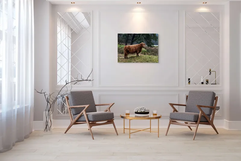Tablou Canvas, "Bivol scoțian în peisaj rural", Vacă, Pădure, Natură, Peisaj, Verde, Blană, Relaxare, Calm, Meditație, Rustic., 100 x 70 cm – poza 5
