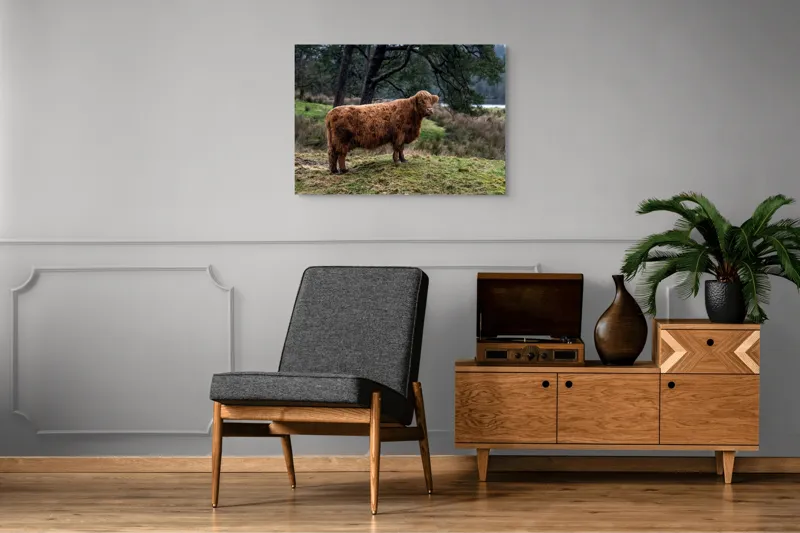 Tablou Canvas, "Bivol scoțian în peisaj rural", Vacă, Pădure, Natură, Peisaj, Verde, Blană, Relaxare, Calm, Meditație, Rustic., 100 x 70 cm – poza 8