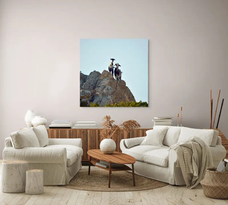 Tablou Canvas, "Capre pe stânci sub cer senin", Capre, Stâncă, Cer, Natură, Aventură, Priveliște, Înălțime, Peisaj, Libertate, Aventurous, 100 x 100 cm – poza 3