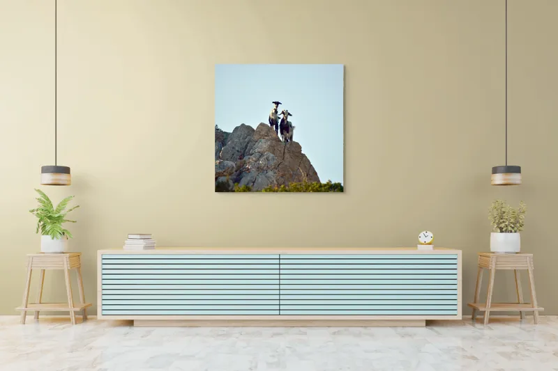 Tablou Canvas, "Capre pe stânci sub cer senin", Capre, Stâncă, Cer, Natură, Aventură, Priveliște, Înălțime, Peisaj, Libertate, Aventurous, 100 x 100 cm – poza 5