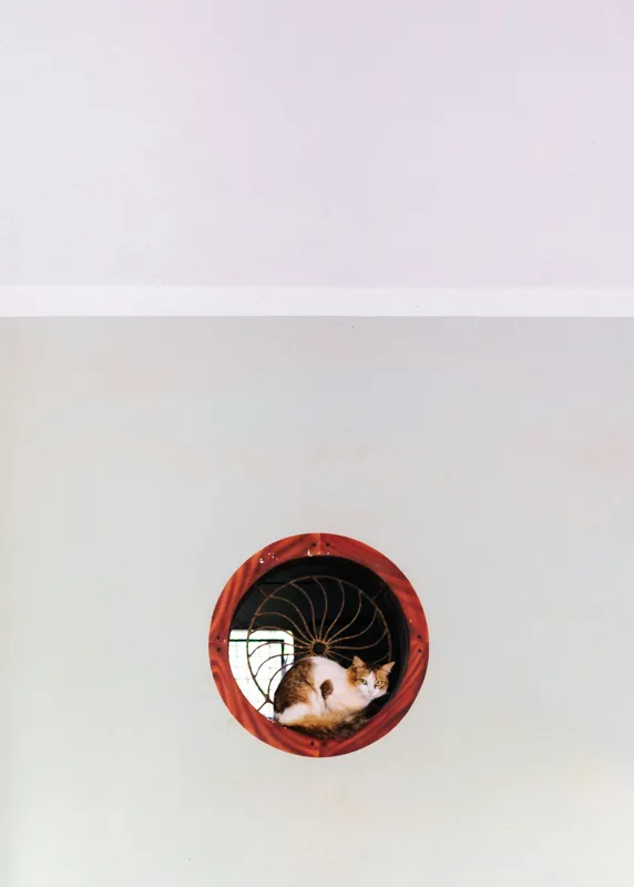 Tablou Canvas, "Pisica somnoroasă în fereastra rotundă", Pisică, Ventilație, Relaxare, Minimalism, Perete, Contrast, Simetrie, Gri, Alb, Roșu, Curiozitate, Calm, Încadrare, Design, 50 x 70 cm – poza 2