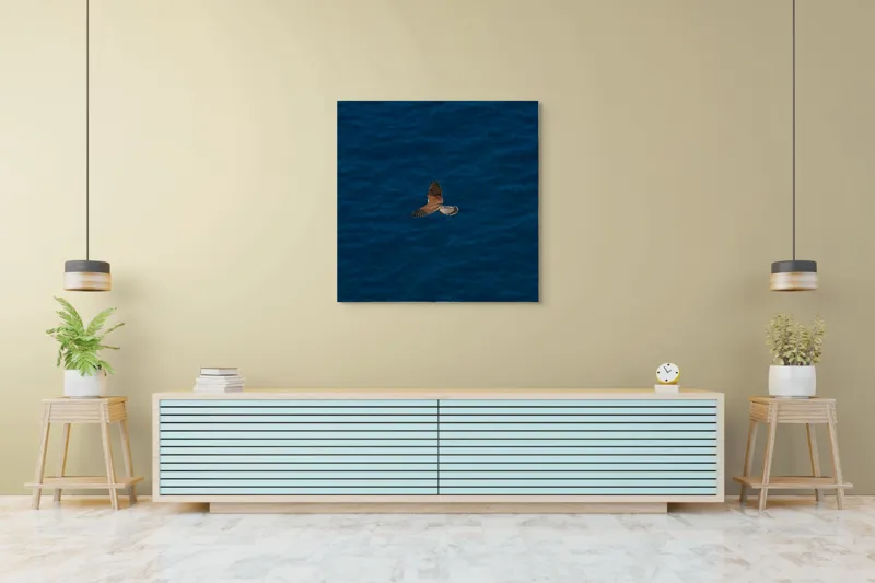 Tablou Canvas, "Pasăre în zbor deasupra mării", Pasăre, Zbor, Cer, Aripi, Ocean, Albastru, Libertate, Natură, 100 x 100 cm – poza 5