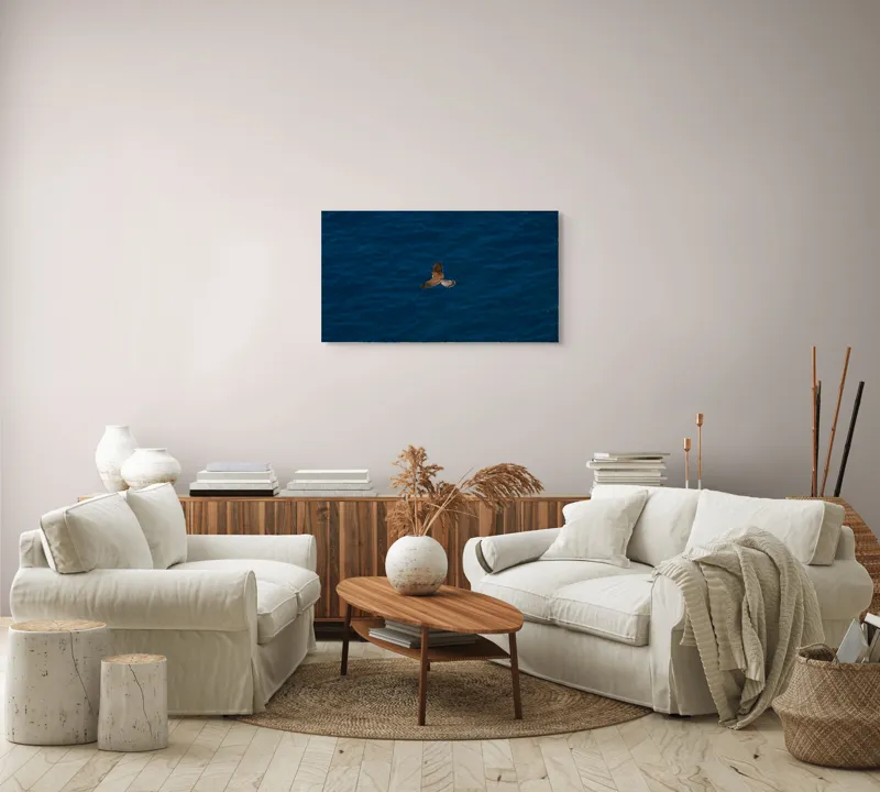 Tablou Canvas, "Pasăre în zbor deasupra mării", Pasăre, Zbor, Cer, Aripi, Ocean, Albastru, Libertate, Natură, 90 x 50 cm – poza 4