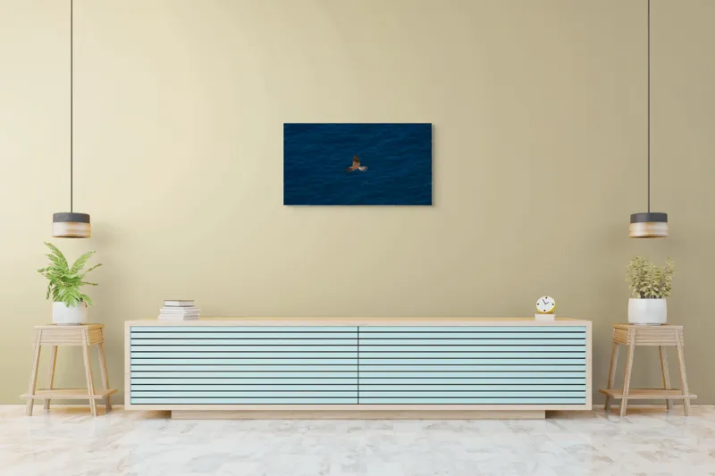 Tablou Canvas, "Pasăre în zbor deasupra mării", Pasăre, Zbor, Cer, Aripi, Ocean, Albastru, Libertate, Natură, 90 x 50 cm – poza 5