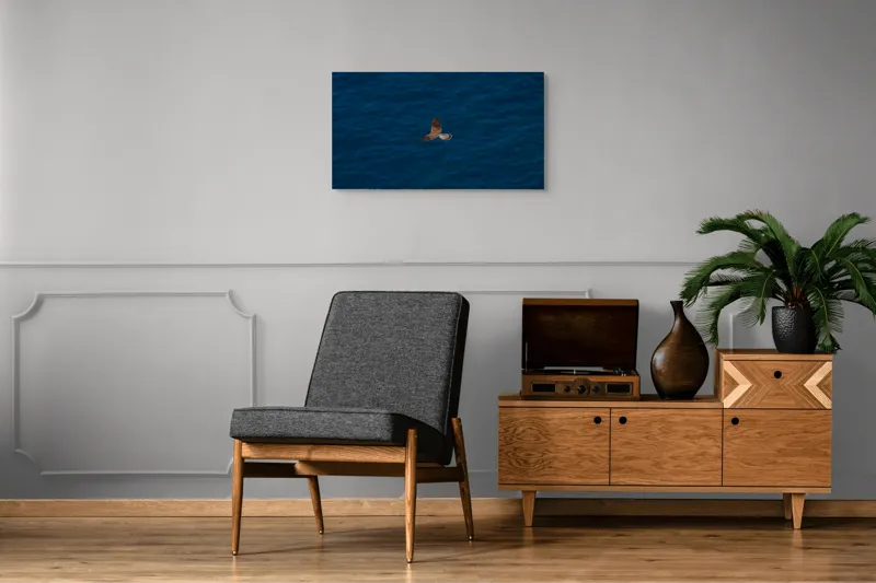 Tablou Canvas, "Pasăre în zbor deasupra mării", Pasăre, Zbor, Cer, Aripi, Ocean, Albastru, Libertate, Natură, 90 x 50 cm – poza 6