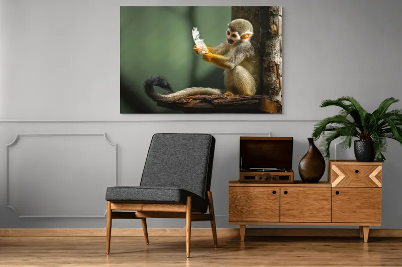 Tablou Canvas, "Maimuța descoperă penajul neașteptat", Nu știu cine este în această imagine., 150 x 100 cm – poza 8