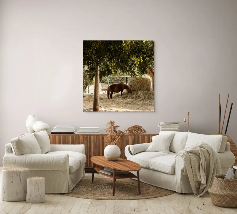 Tablou Canvas, "Cal într-o oază sub copaci", Cal, Fân, Copac, Grădină, Lumină, Umbre, Calm, Peisaj, Pastoral, Natură, 100 x 100 cm – poza 3