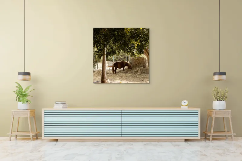 Tablou Canvas, "Cal într-o oază sub copaci", Cal, Fân, Copac, Grădină, Lumină, Umbre, Calm, Peisaj, Pastoral, Natură, 100 x 100 cm – poza 5