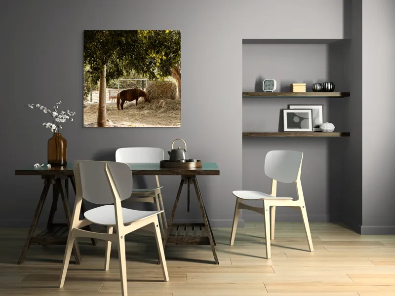 Tablou Canvas, "Cal într-o oază sub copaci", Cal, Fân, Copac, Grădină, Lumină, Umbre, Calm, Peisaj, Pastoral, Natură, 100 x 100 cm – poza 6