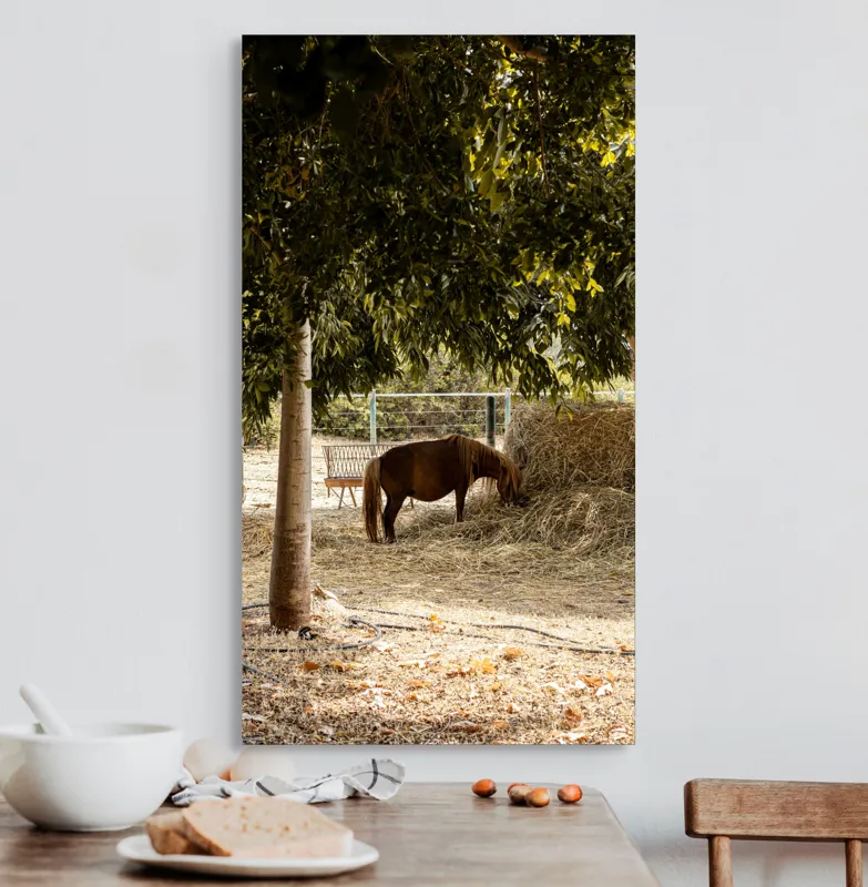 Tablou Canvas, "Cal într-o oază sub copaci", Cal, Fân, Copac, Grădină, Lumină, Umbre, Calm, Peisaj, Pastoral, Natură, 50 x 90 cm – poza 3