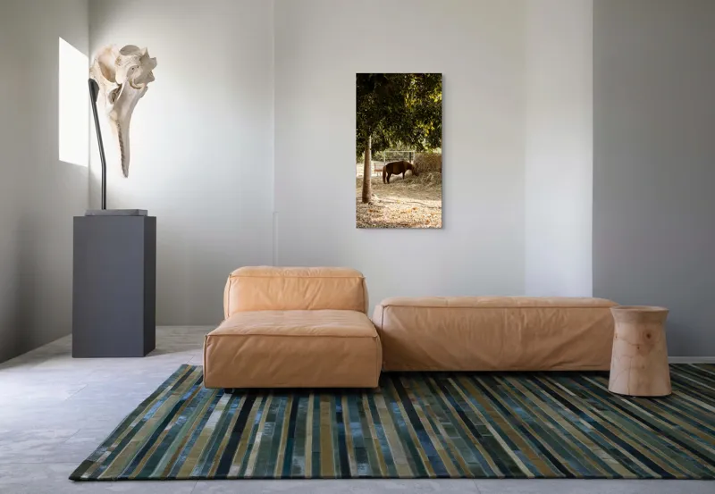 Tablou Canvas, "Cal într-o oază sub copaci", Cal, Fân, Copac, Grădină, Lumină, Umbre, Calm, Peisaj, Pastoral, Natură, 50 x 90 cm – poza 5