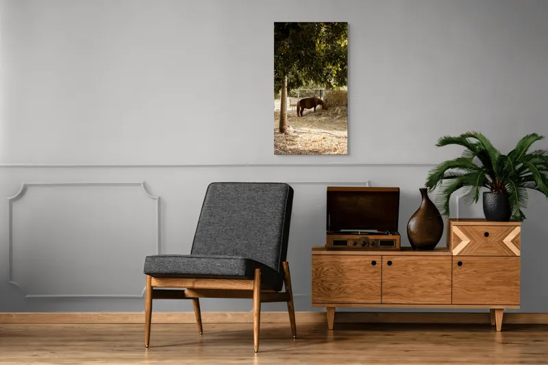Tablou Canvas, "Cal într-o oază sub copaci", Cal, Fân, Copac, Grădină, Lumină, Umbre, Calm, Peisaj, Pastoral, Natură, 50 x 90 cm – poza 8