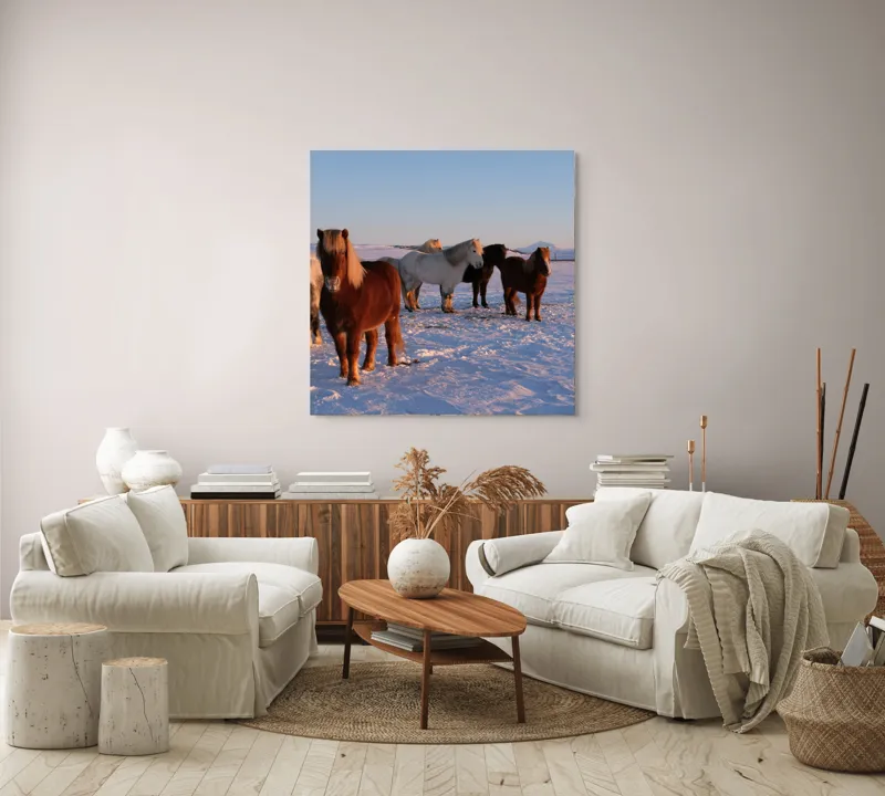 Tablou Canvas, "Cai islandezi în zăpada nesfârșită", Cai, Peisaj, Iarnă, Zăpadă, Răsărit, Serenitate, Frig, Natură, Culoare, 100 x 100 cm – poza 3