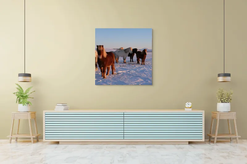 Tablou Canvas, "Cai islandezi în zăpada nesfârșită", Cai, Peisaj, Iarnă, Zăpadă, Răsărit, Serenitate, Frig, Natură, Culoare, 100 x 100 cm – poza 5