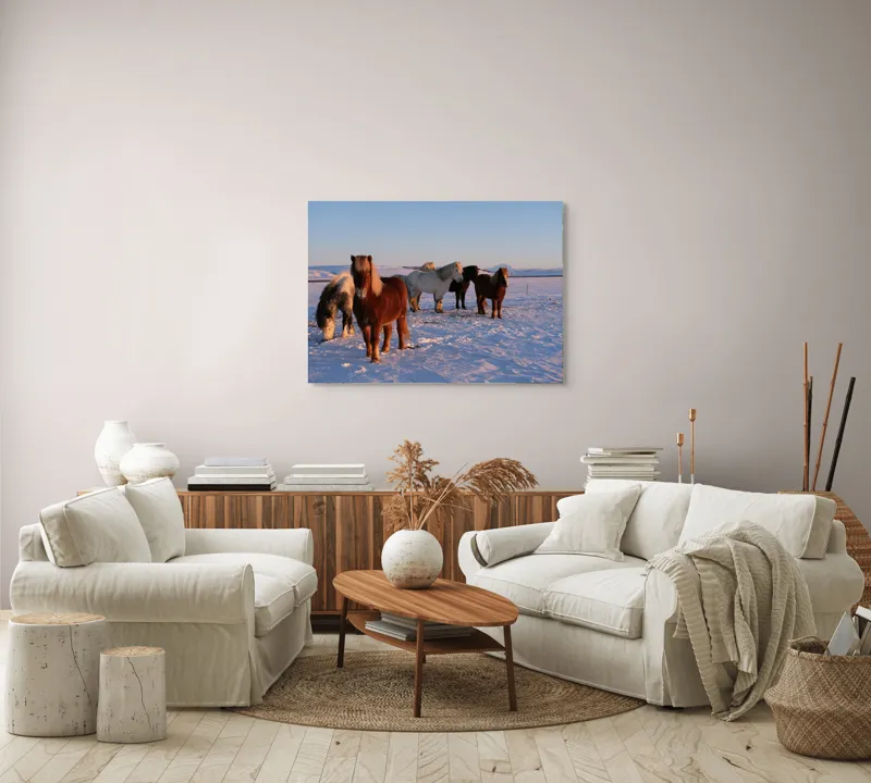 Tablou Canvas, "Cai islandezi în zăpada nesfârșită", Cai, Peisaj, Iarnă, Zăpadă, Răsărit, Serenitate, Frig, Natură, Culoare, 100 x 70 cm – poza 3