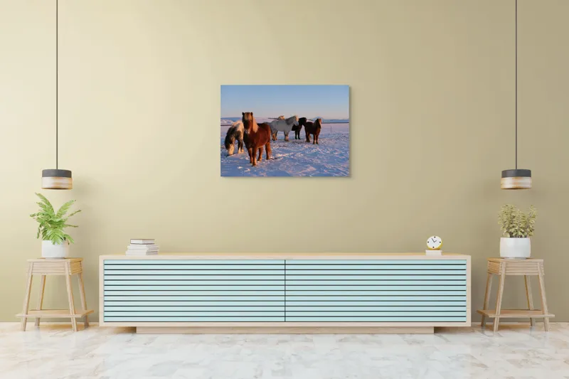 Tablou Canvas, "Cai islandezi în zăpada nesfârșită", Cai, Peisaj, Iarnă, Zăpadă, Răsărit, Serenitate, Frig, Natură, Culoare, 100 x 70 cm – poza 4