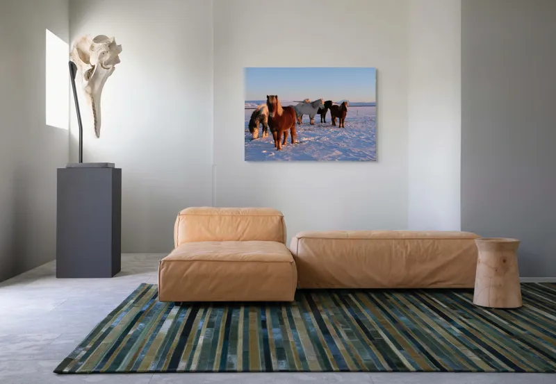 Tablou Canvas, "Cai islandezi în zăpada nesfârșită", Cai, Peisaj, Iarnă, Zăpadă, Răsărit, Serenitate, Frig, Natură, Culoare, 100 x 70 cm – poza 7