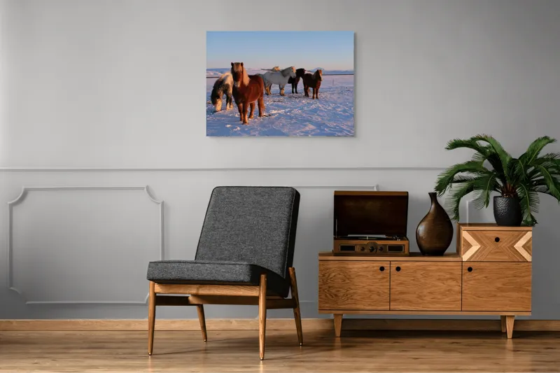 Tablou Canvas, "Cai islandezi în zăpada nesfârșită", Cai, Peisaj, Iarnă, Zăpadă, Răsărit, Serenitate, Frig, Natură, Culoare, 100 x 70 cm – poza 8