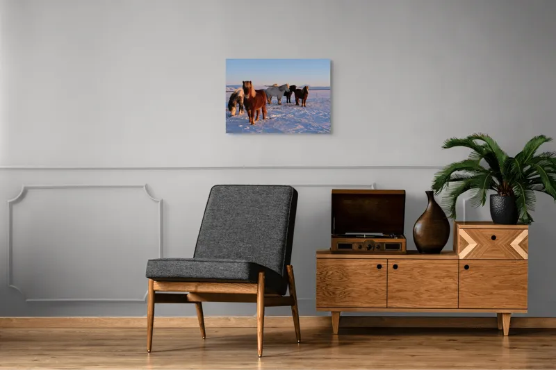 Tablou Canvas, "Cai islandezi în zăpada nesfârșită", Cai, Peisaj, Iarnă, Zăpadă, Răsărit, Serenitate, Frig, Natură, Culoare, 70 x 50 cm – poza 4