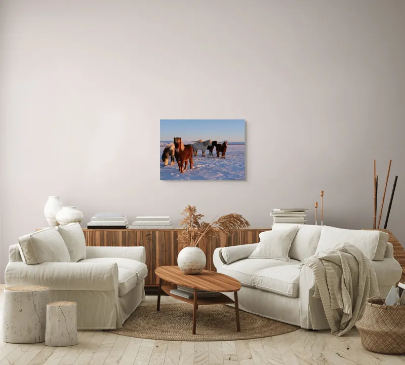 Tablou Canvas, "Cai islandezi în zăpada nesfârșită", Cai, Peisaj, Iarnă, Zăpadă, Răsărit, Serenitate, Frig, Natură, Culoare, 70 x 50 cm – poza 6