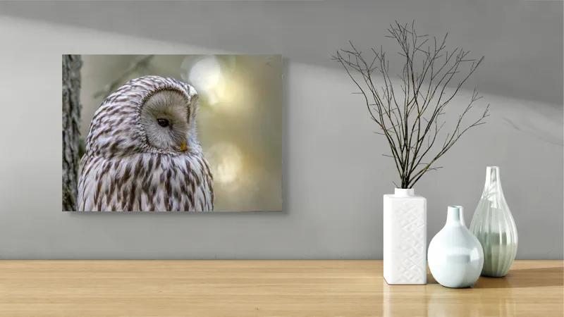 Tablou Canvas, "Bufnița contemplativă în lumina dimineții", Bufniță, Pene, Natură, Calm, Ochi, Textură, Ramură, Lumină, Blând., 54 x 39 cm – poza 3