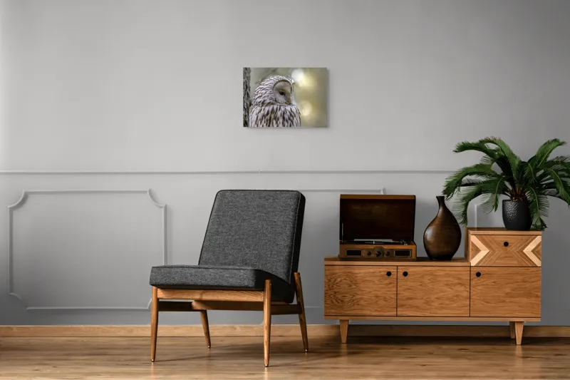 Tablou Canvas, "Bufnița contemplativă în lumina dimineții", Bufniță, Pene, Natură, Calm, Ochi, Textură, Ramură, Lumină, Blând., 54 x 39 cm – poza 7